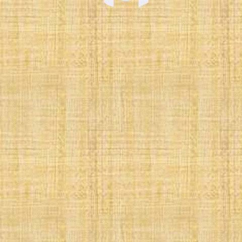 旅拍創意 美編 客製 規劃 無人機拍攝【旅拍紀錄美好回憶}】